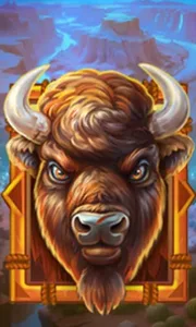 Buffalo Gold Canyon